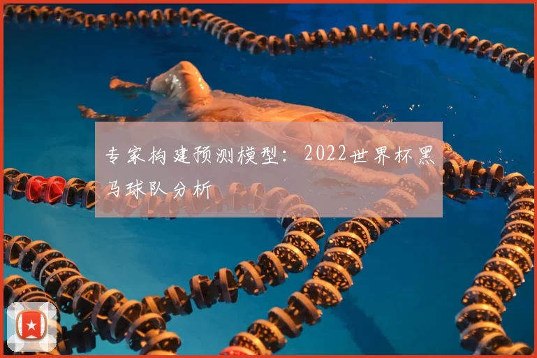 专家构建预测模型:2022世界杯黑马球队分析