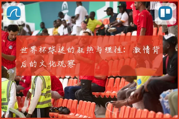 世界杯球迷的狂热与理性：激情背后的文化观察
