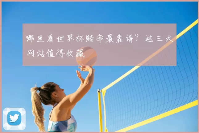 哪里看世界杯赔率最靠谱？这三大网站值得收藏