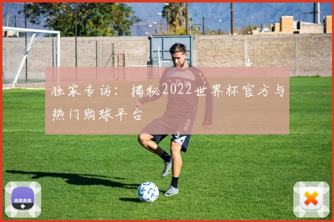 独家专访:揭秘2022世界杯官方与热门购球平台