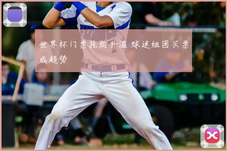 世界杯门票抢购升温 球迷组团买票成趋势