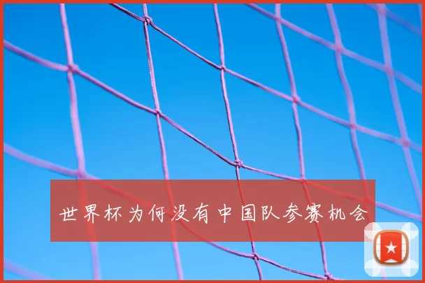 世界杯为何没有中国队参赛机会