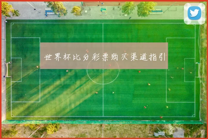 世界杯比分彩票购买渠道指引