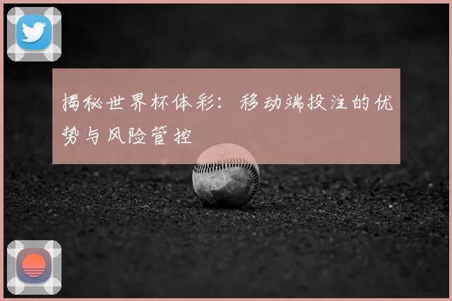 揭秘世界杯体彩:移动端投注的优势与风险管控