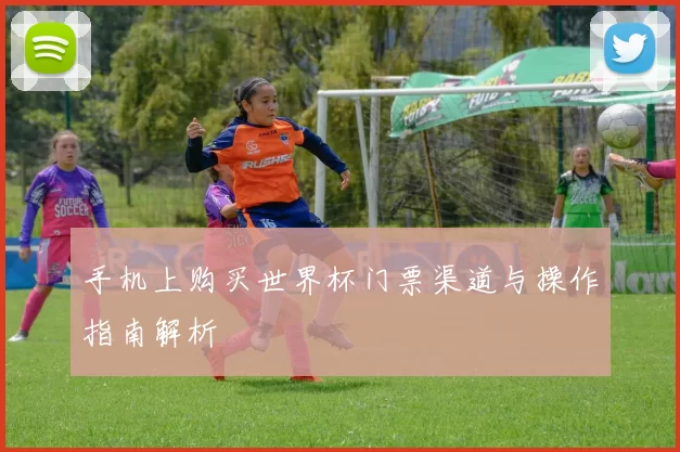 手机上购买世界杯门票渠道与操作指南解析