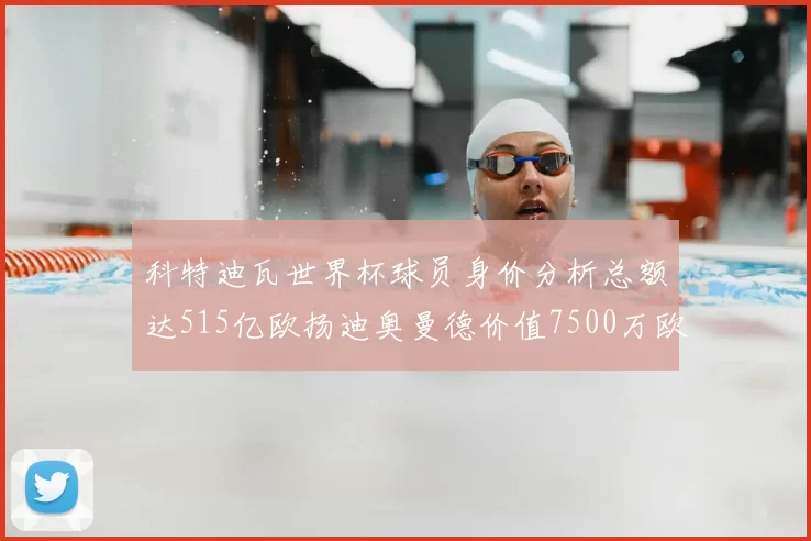 科特迪瓦世界杯球员身价分析总额达515亿欧扬迪奥曼德价值7500万欧