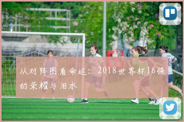 从对阵图看命运:2018世界杯16强的荣耀与泪水