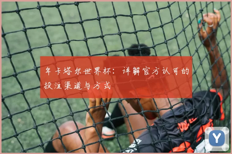 年卡塔尔世界杯:详解官方认可的投注渠道与方式