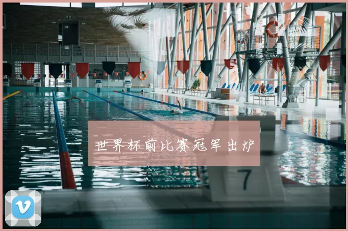 世界杯前比赛冠军出炉