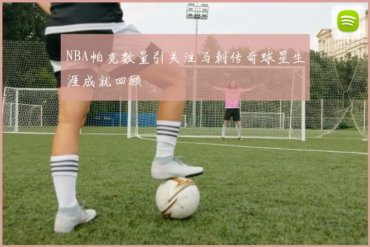 NBA帕克数量引关注马刺传奇球星生涯成就回顾