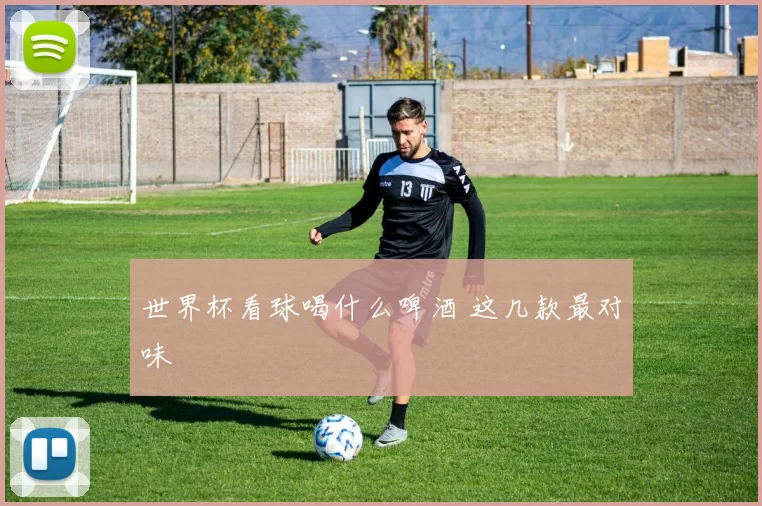 世界杯看球喝什么啤酒 这几款最对味