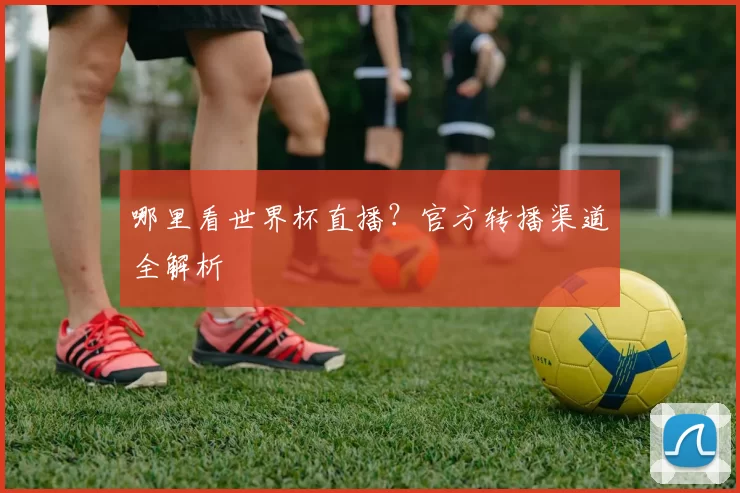哪里看世界杯直播？官方转播渠道全解析