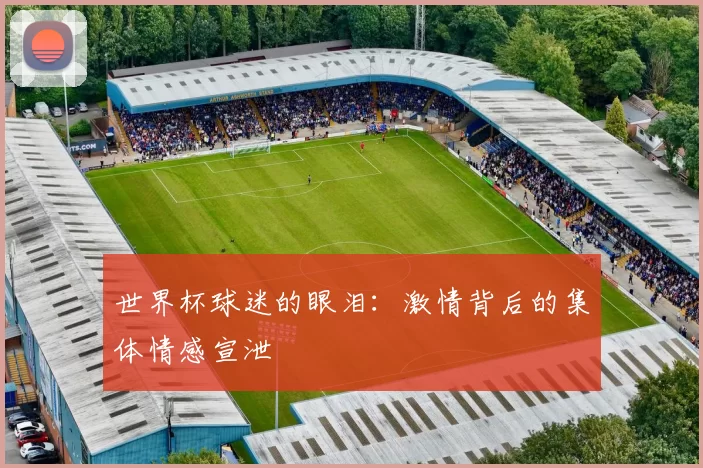世界杯球迷的眼泪:激情背后的集体情感宣泄